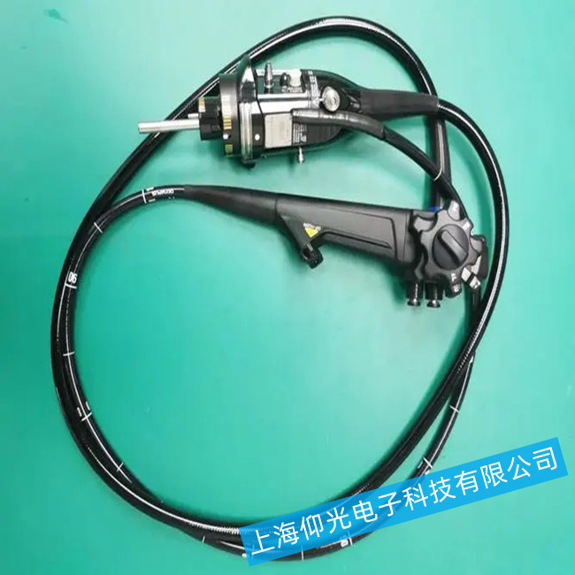 �t�ÃȸQ�R����Ҋ�����\��S��